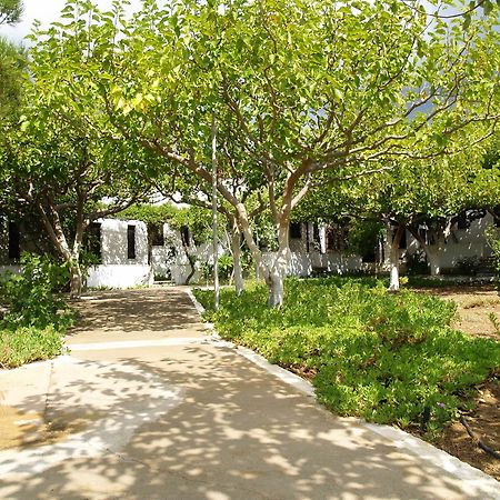 Dolphin Apartments Frangokastello エクステリア 写真