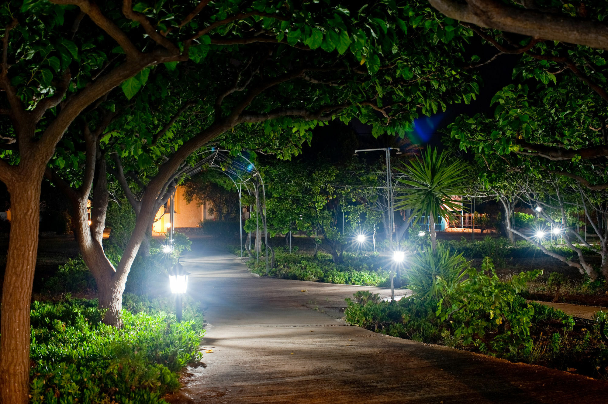 Dolphin Apartments Frangokastello エクステリア 写真